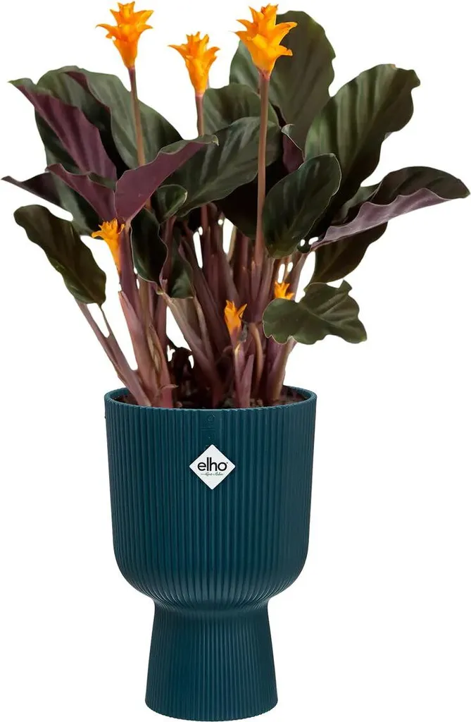 elho® Vibes Cache-pot Fold Cup bleu profond Ø 14 cm en plastique recyclé