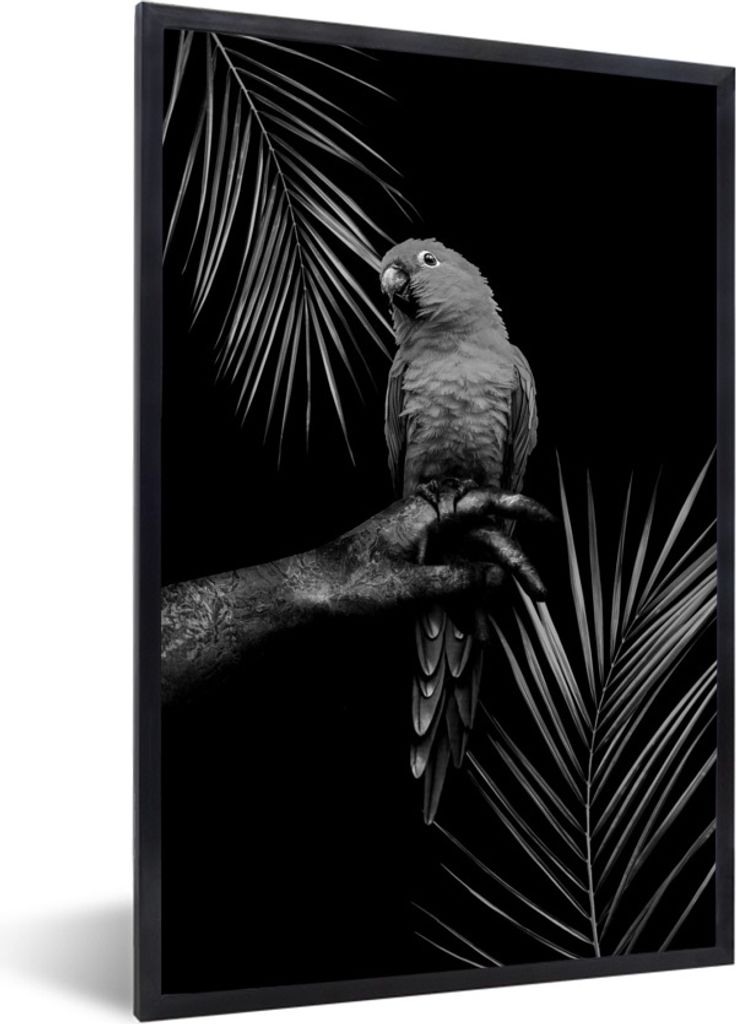 MuchoWow Gerahmtes Poster Tropischer Vogel vor schwarzem Hintergrund - schwarz und weiß 60x90 cm - Poster mit Schwarzem Bilderrahmen Wandposter ...