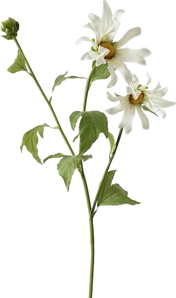 Chrysantheme 74 cm Weiss