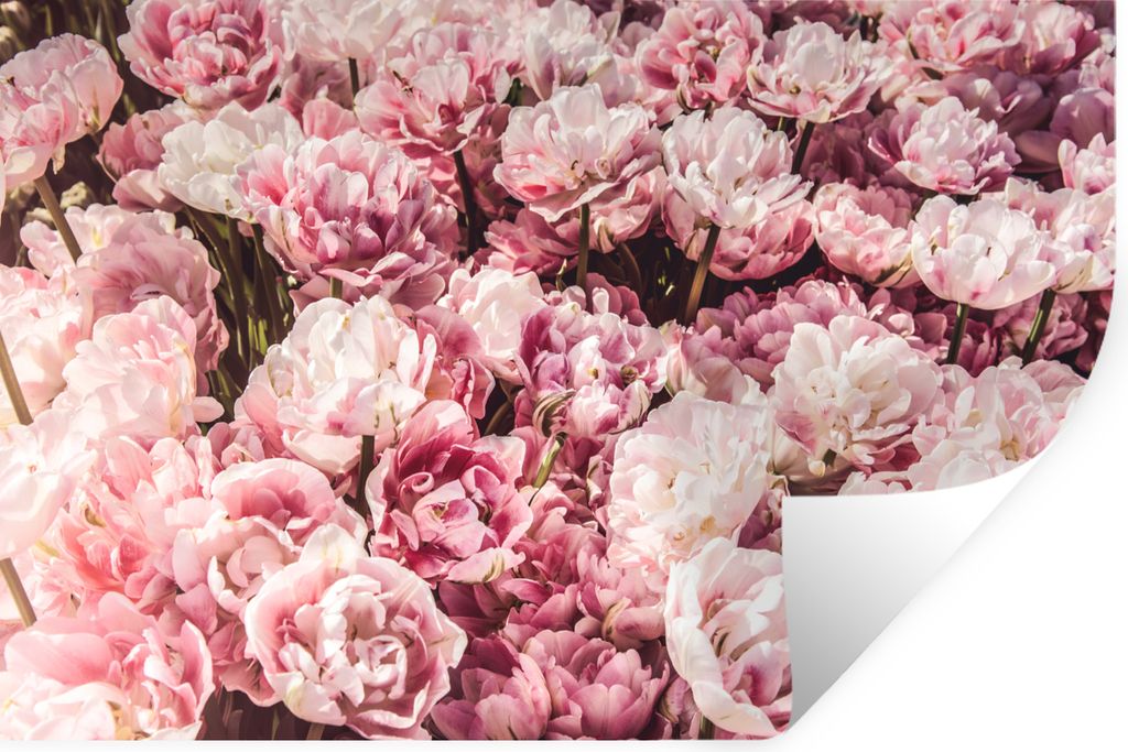 MuchoWow - Aufkleber