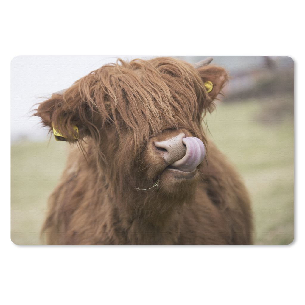 MuchoWow Schreibtischunterlage Schottischer Highlander - Braun - Kuh 60x40 cm - XXL Mauspad - Großes Mauspad