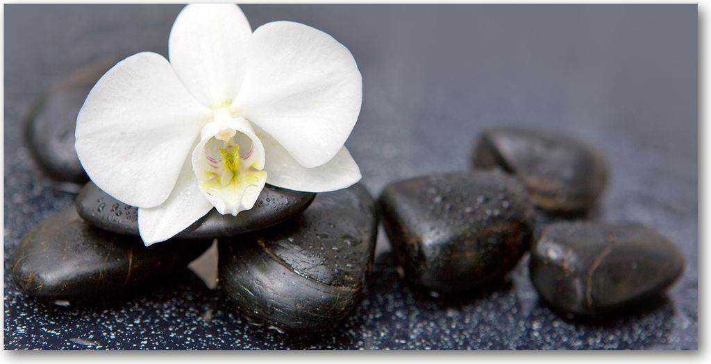 Tulup Küchenrückwand Spritzschutz aus Glas -100x50 -Spritzschutz auf gehärtetes GlasDeko Blumen & Pflanzen Orchidee