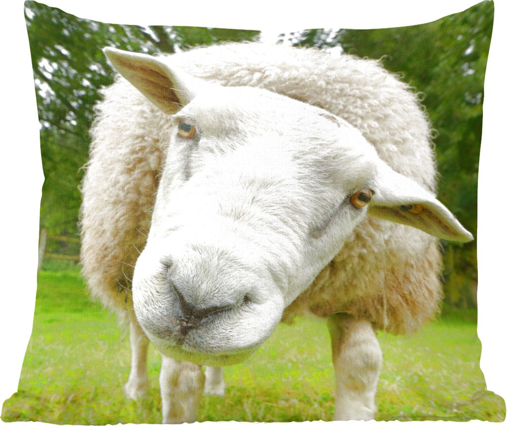 MuchoWow Zierkissen Sofakissen Wohnzimmer Dekokissen 45x45 cm Schaf - Gras - Baum - Schlafpolster - Polster für das Sofa