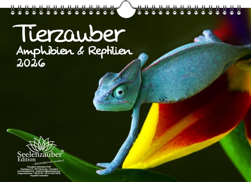 Tierzauber Amphibien und Reptilien DIN A4 Kalender für 2026