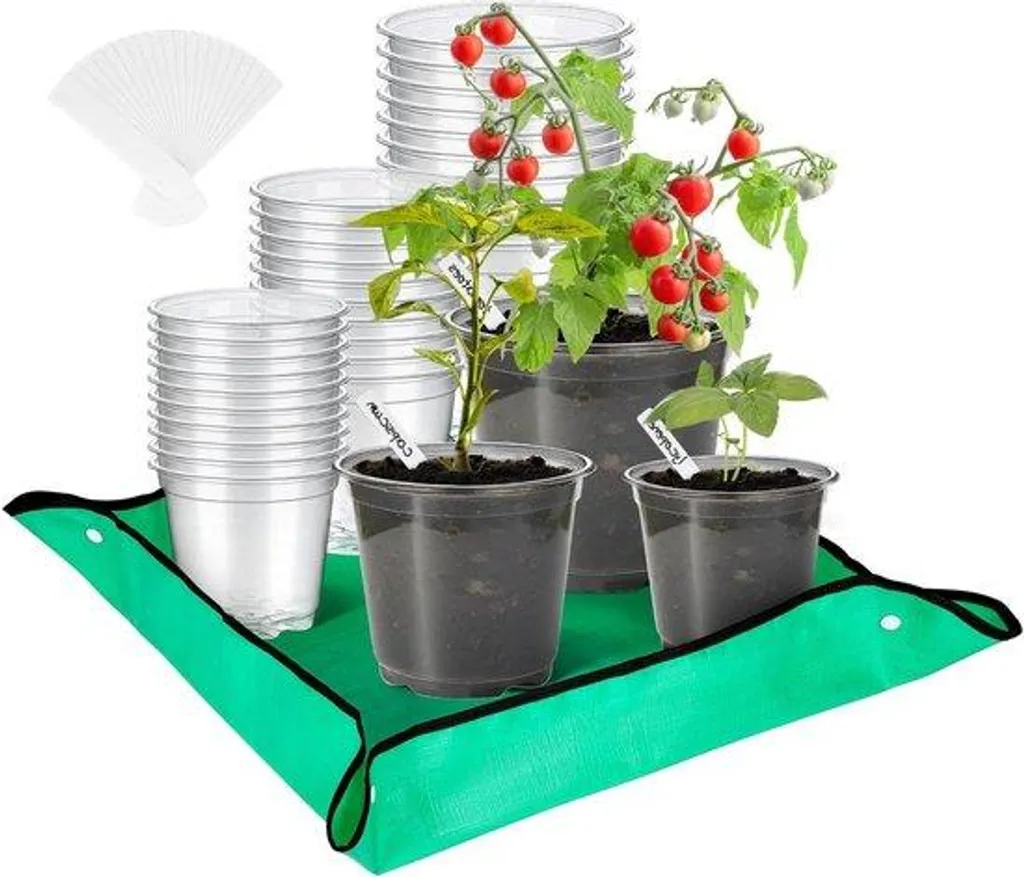 30 pots transparents pour orchidées 12cm avec drainage rapide et soucoupes