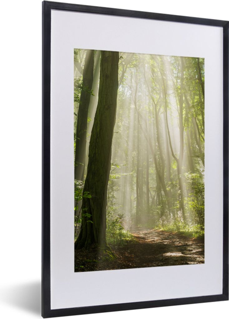 MuchoWow Gerahmtes Poster Wald - Licht - Natur - Landschaft 40x60 cm - Poster mit Schwarzem Bilderrahmen Wandposter Rahmen Foto Bilder - Poster i...