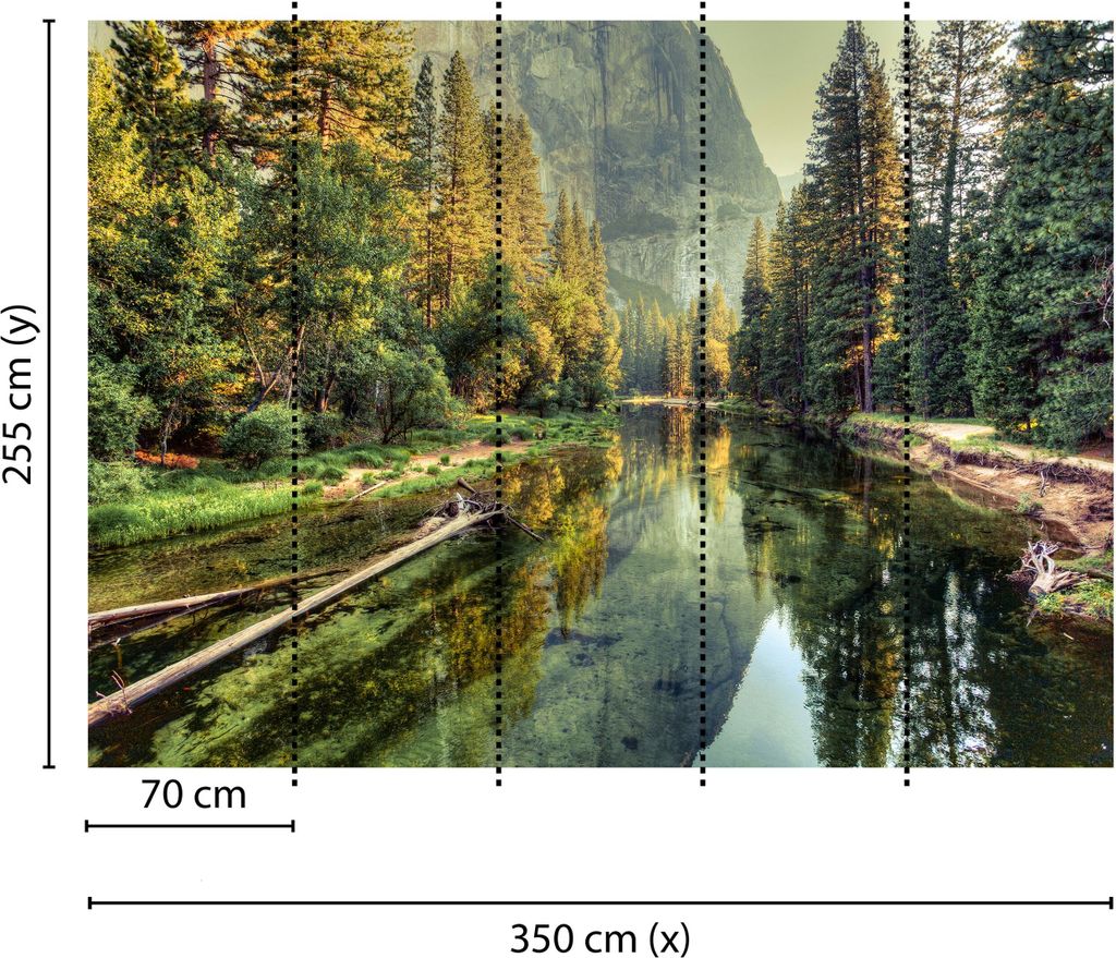 Tadessi Fototapete | Wald | 3.50 m x 2.55 m | Grün | Gelb | Wandbild | Digitaldruck