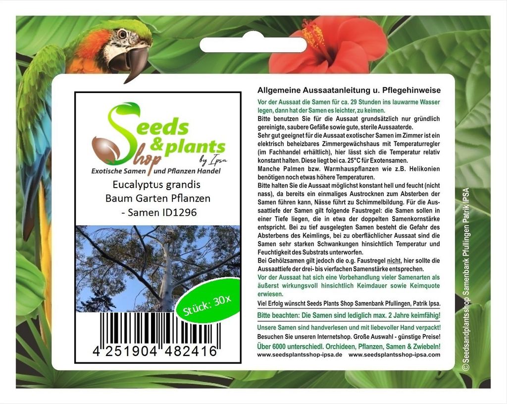 30x Eucalyptus grandis Baum Garten Pflanzen - Samen ID1296