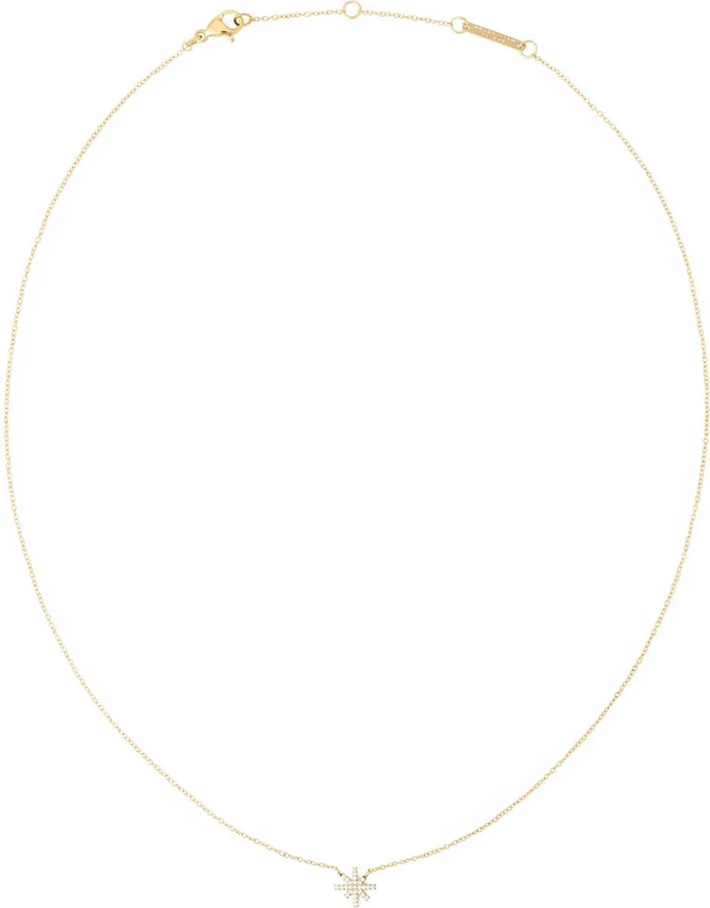 Collier Mirelle Étoile en Acier Brillant Daniel Wellington DW00401635