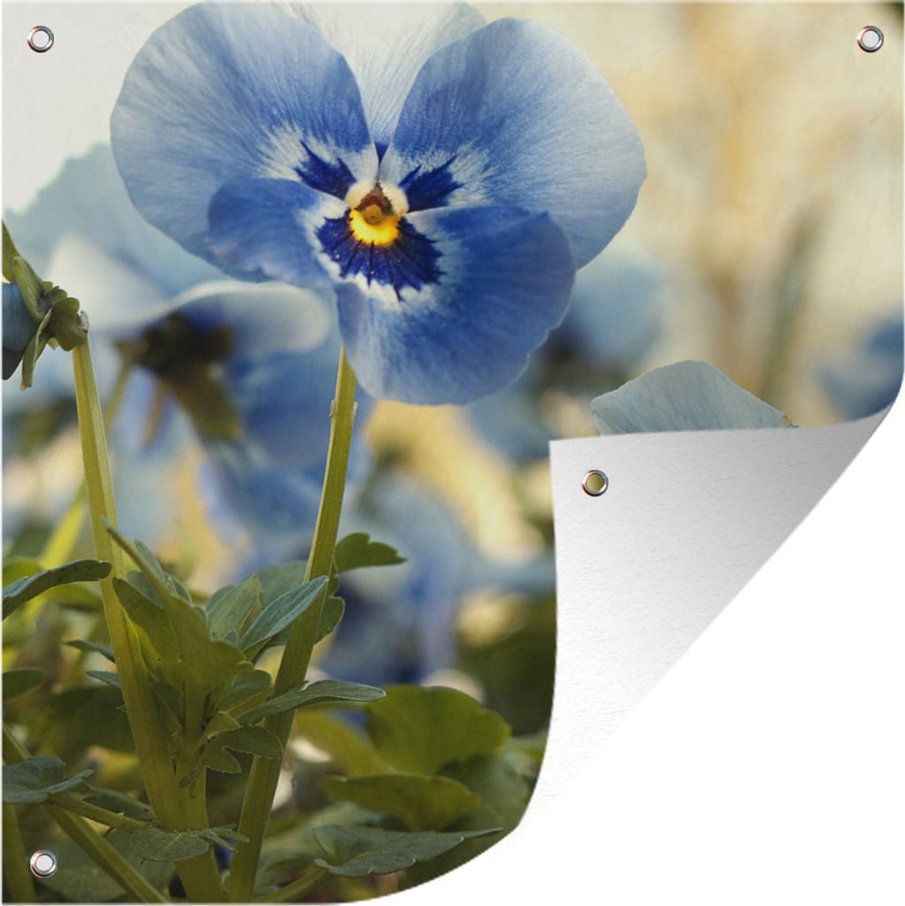 MuchoWow 100x100 cm Outdoor-Poster Gartendeko Sichtschutz Garten Poster für den Garten Blauviolett