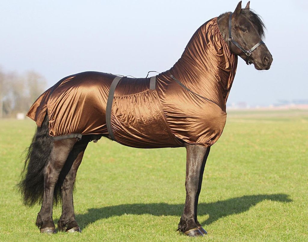 QHP Ekzemdecke Bigneck