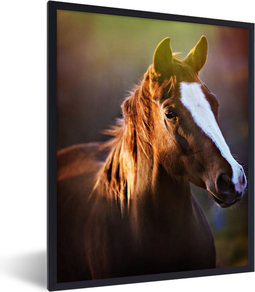 MuchoWow Gerahmtes Poster Porträt eines braunen Pferdes in der Sonne 30x40 cm - Poster mit Schwarzem Bilderrahmen Wandposter Rahmen Foto Bilder ...