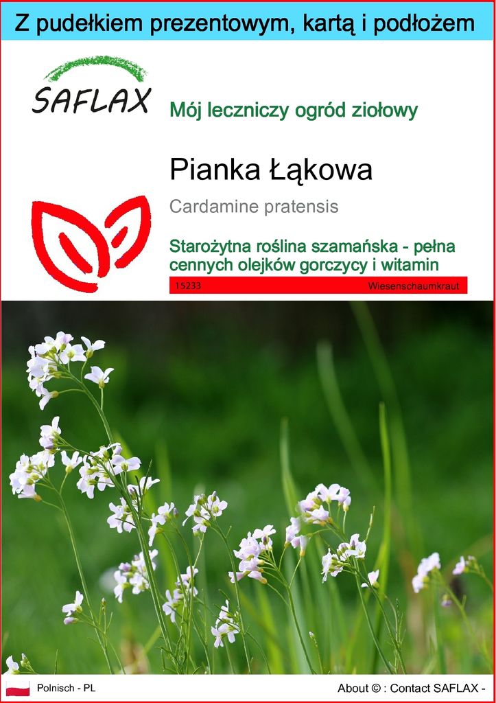 SAFLAX - Zestaw prezentowy - Pianka Łąkowa - 100 Nasiona - Zdjęcie produktu 