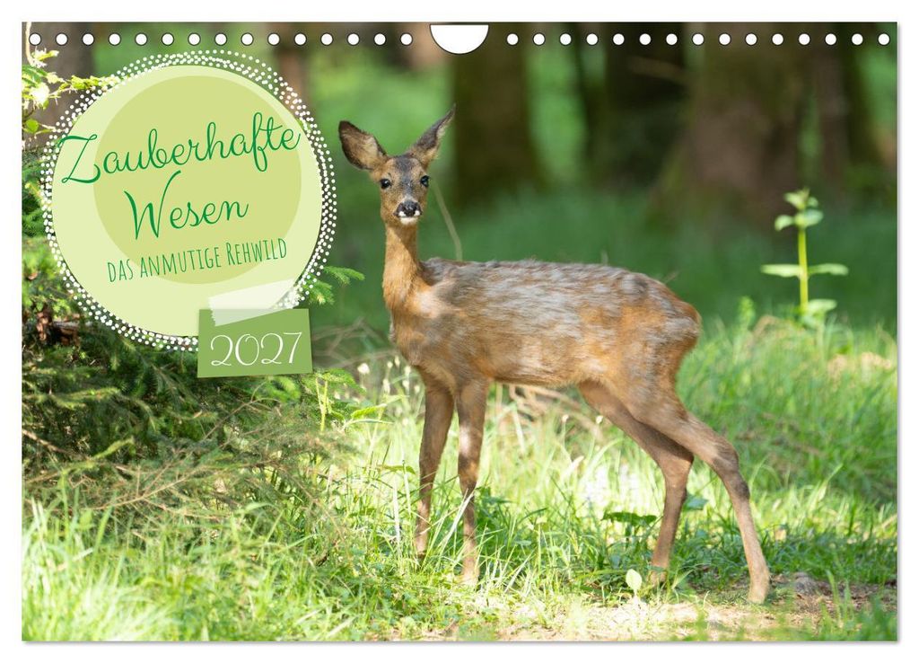 Zauberhafte Wesen - anmutiges Rehwild (Wandkalender 2027 DIN A4 quer), CALVENDO Monatskalender