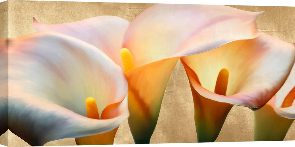 Quadro su Tela Luca Villa Jewel Callas 70x35 - Arredo Casa Fiori