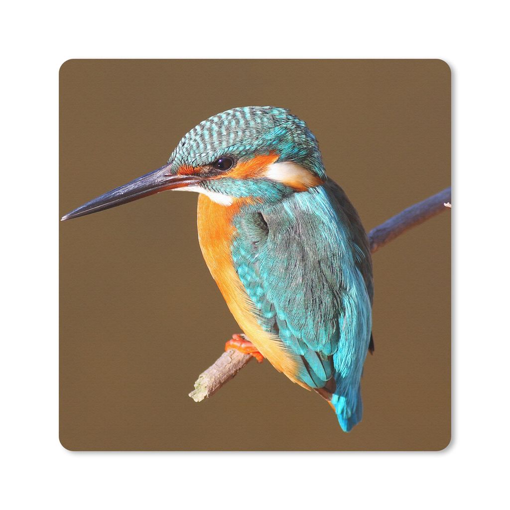 MuchoWow® Mauspad Mousepad Eisvogel - Äste - Bunt 30x30 cm Produktbild 
