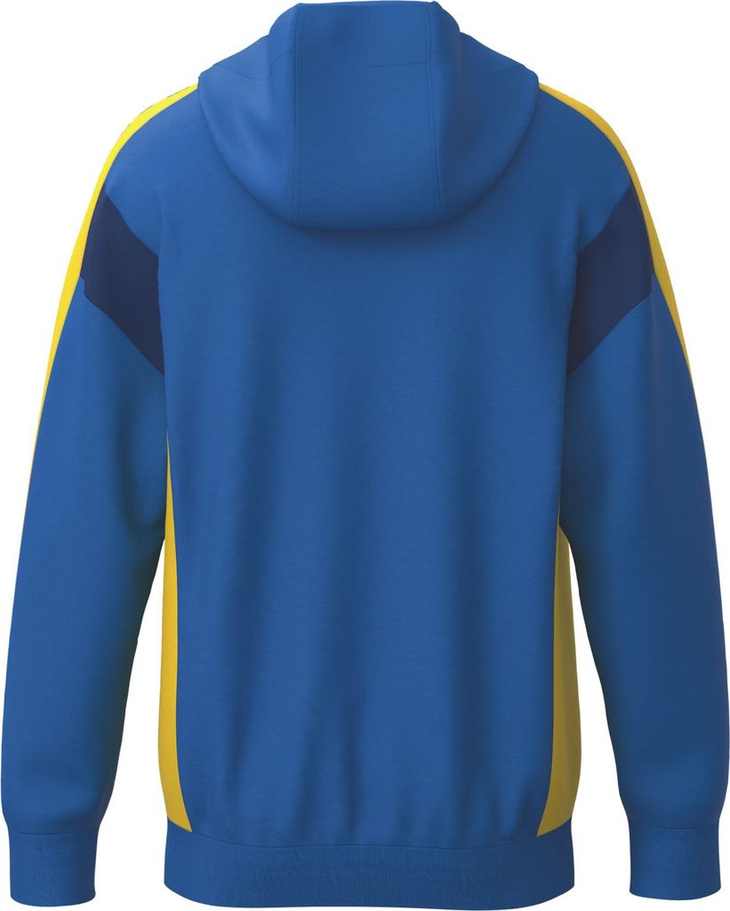 Erima Celebrate 125 Trainingsjacke mit Kapuze Mehrfarbig Junior