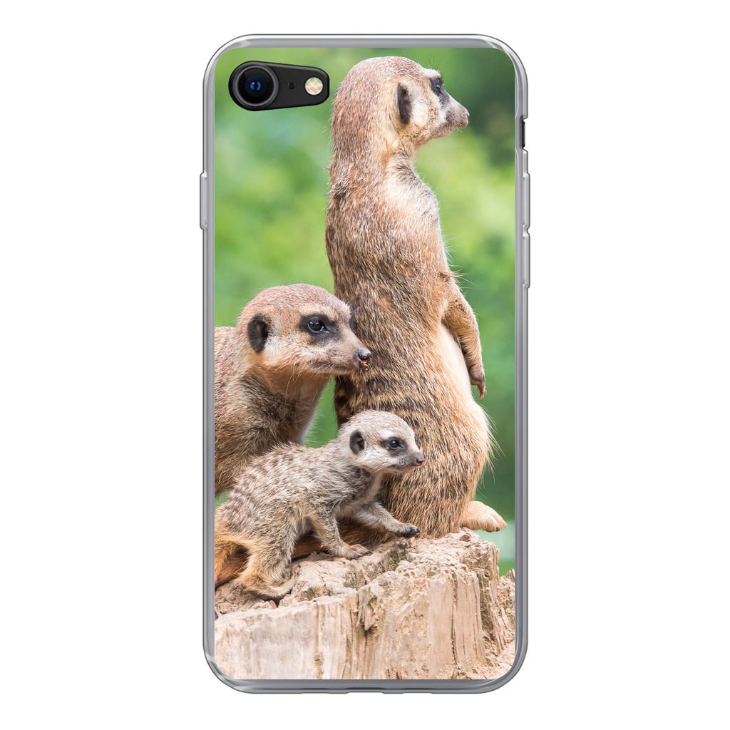 MuchoWow Handyhülle Schutzhülle Hülle für iPhone 7 Erdmännchen - Baumstumpf - Jungtier Silikon Softcase Handy Hülle - Kartenhalter