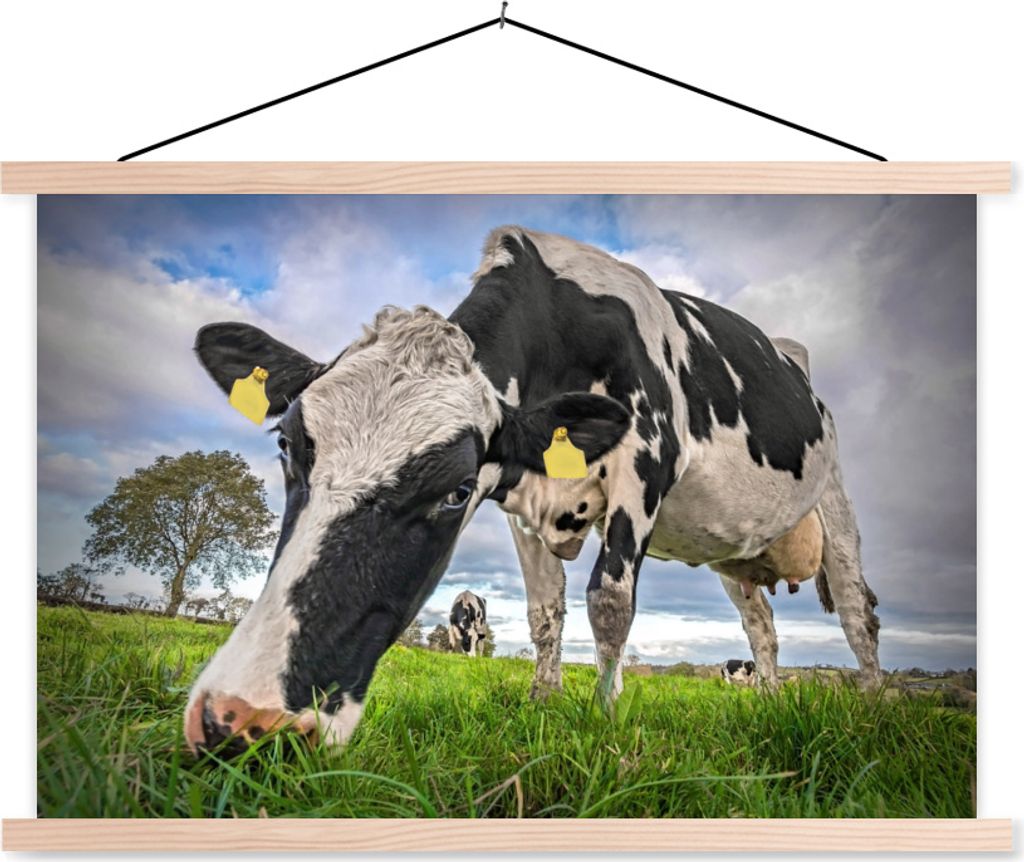 MuchoWow Textilposter Kuh - Gras - Bauernhof - Natur 60x40 cm mit holzfarbenen Rahmen - Bilder