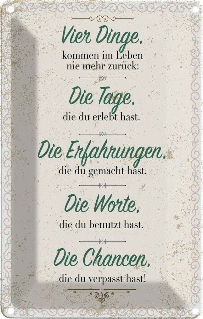 vianmo Blechschild 18x12 cm Vier Dinge kommen nie zurück Spruch Zitat