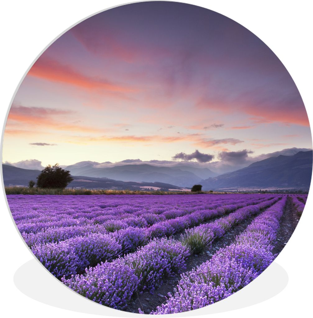 MuchoWow Rundes Wandbild - Runde Bilder Ein schönes Lavendelfeld bei Sonnenuntergang Ø 60 cm Kreis Wanddekoration Kunststoff - Wandkreis - Wand...