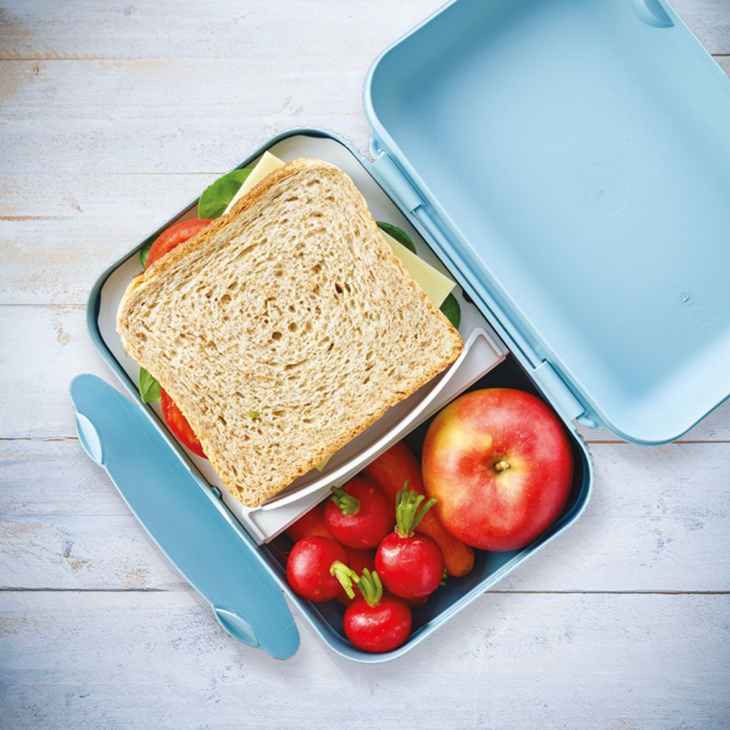 Contenitore Porta Pranzo Tupperware To Go 1L – Turchese Chiaro Con Divisorio – Originale, Lavabile In Lavastoviglie