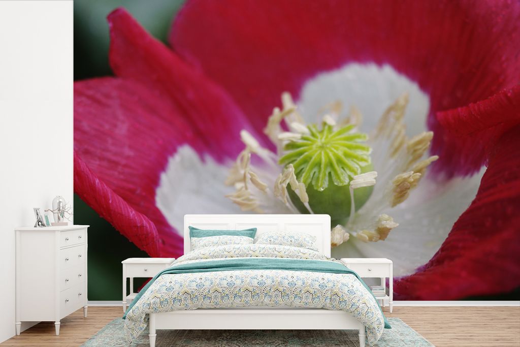 MuchoWow Fototapete für Wohnzimmer oder Schlafzimmer Wandtapete Vinyl Motivtapete Nahaufnahme der Schlafkugelblume - 330x220 cm - Fototapeten