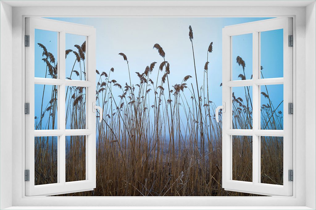 Wallario selbstklebendes Poster mit Fenster-Illusion - Schilfrohr am See vor blauem Himmel, Größe: 61 x 91,50 cm