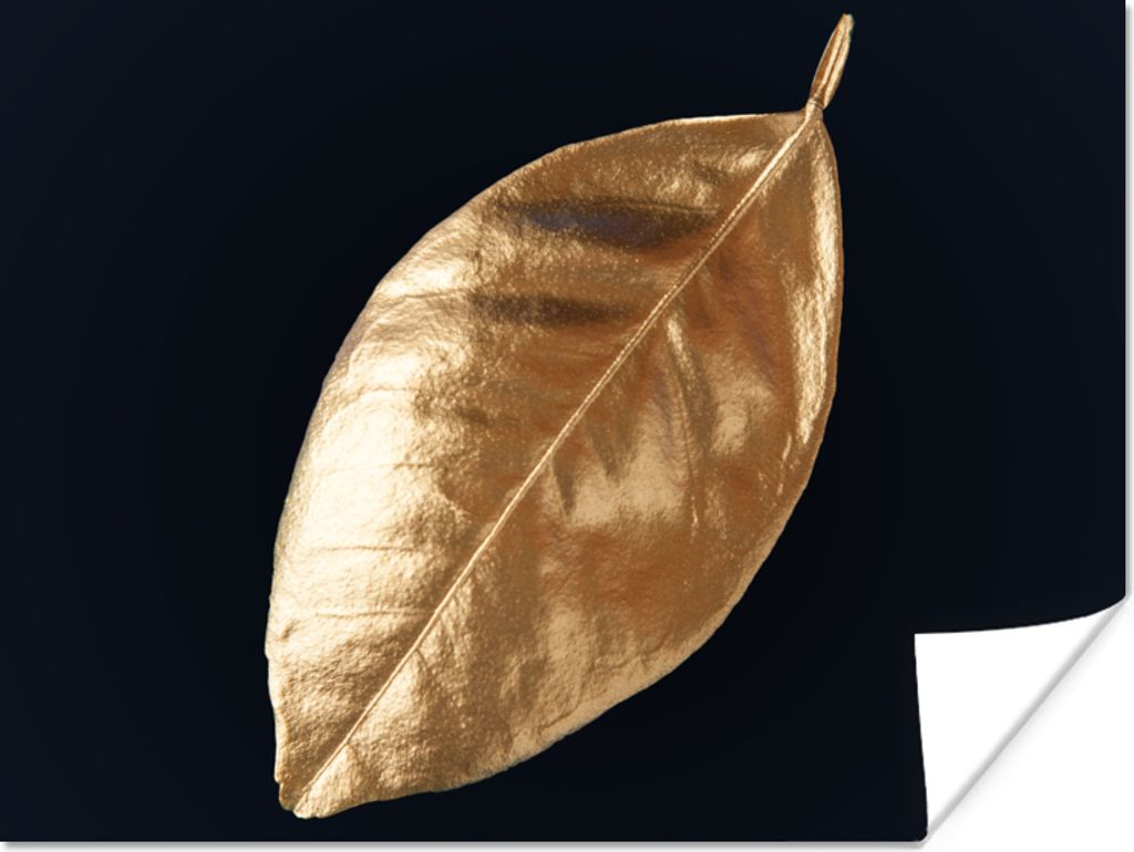 MuchoWow Poster Blätter - Schwarz und Gold - Luxus - Natur - Pflanzen 40x30 cm - Plakate für die Wände - Poster Wohnzimmer