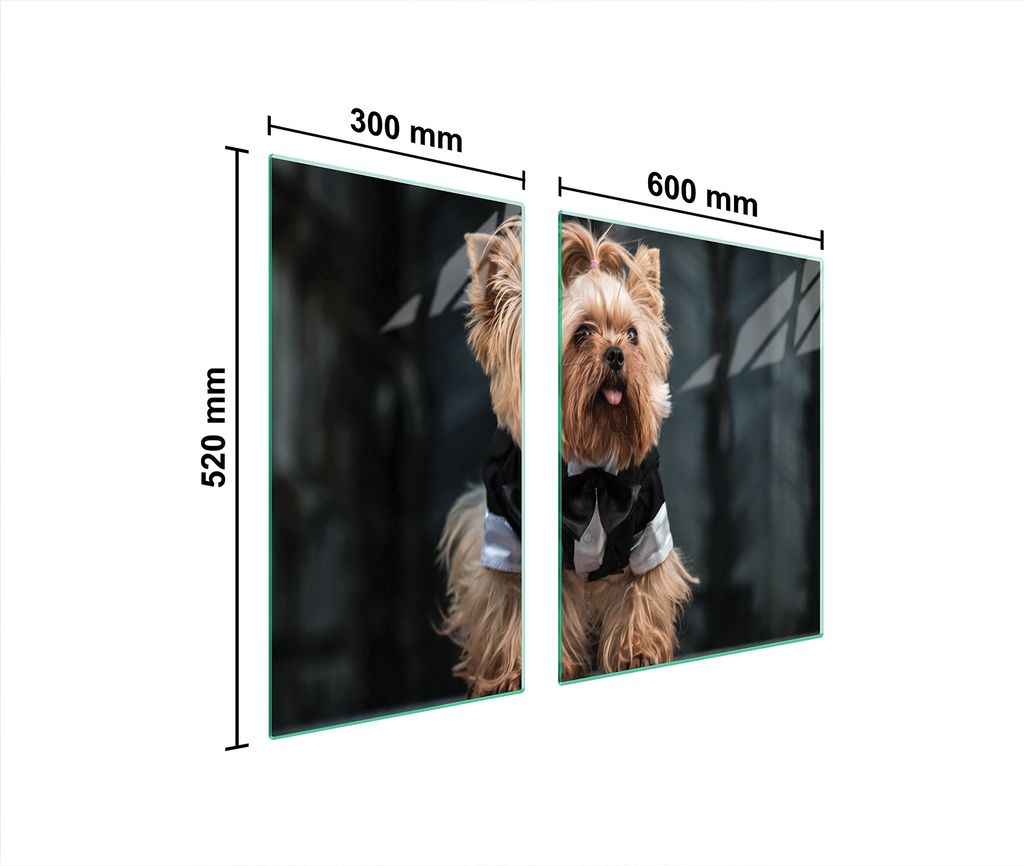 Glasschutzplatte Für Herd 90X52 Hund