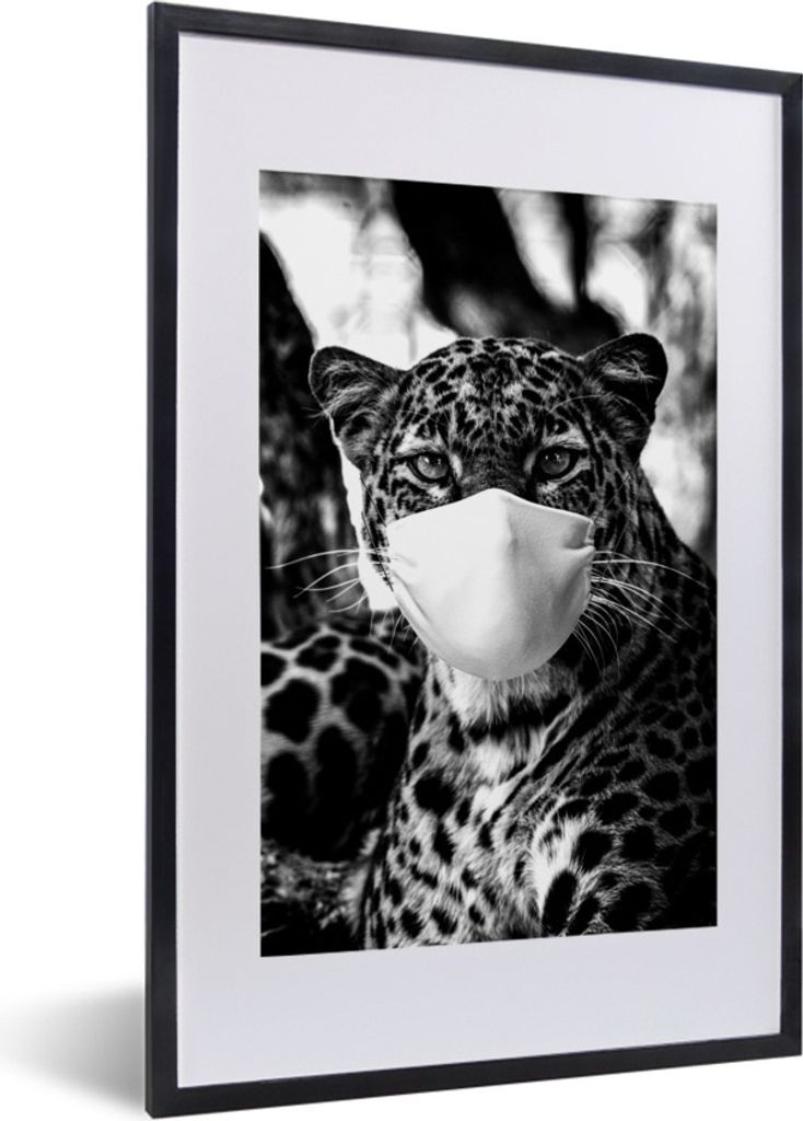 MuchoWow Gerahmtes Poster Gepard mit einem Mund Kappe auf Schwanz in die Kamera - schwarz und weiß 40x60 cm - Poster mit Schwarzem Bilderrahmen ...