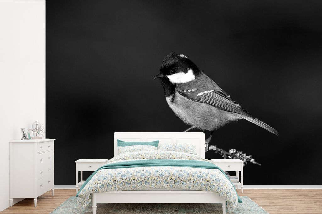 MuchoWow Fototapete für Wohnzimmer oder Schlafzimmer Wandtapete Vinyl Motivtapete Ein Foto einer Kohlmeise, die auf einem moosbewachsenen Ast si...