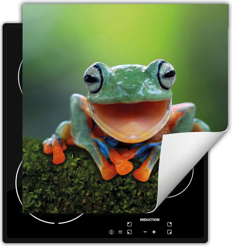 DarHaus Herdabdeckplatte 60x52 cm Anti Rutsch Matte Aufrollbar, grün - Frosch