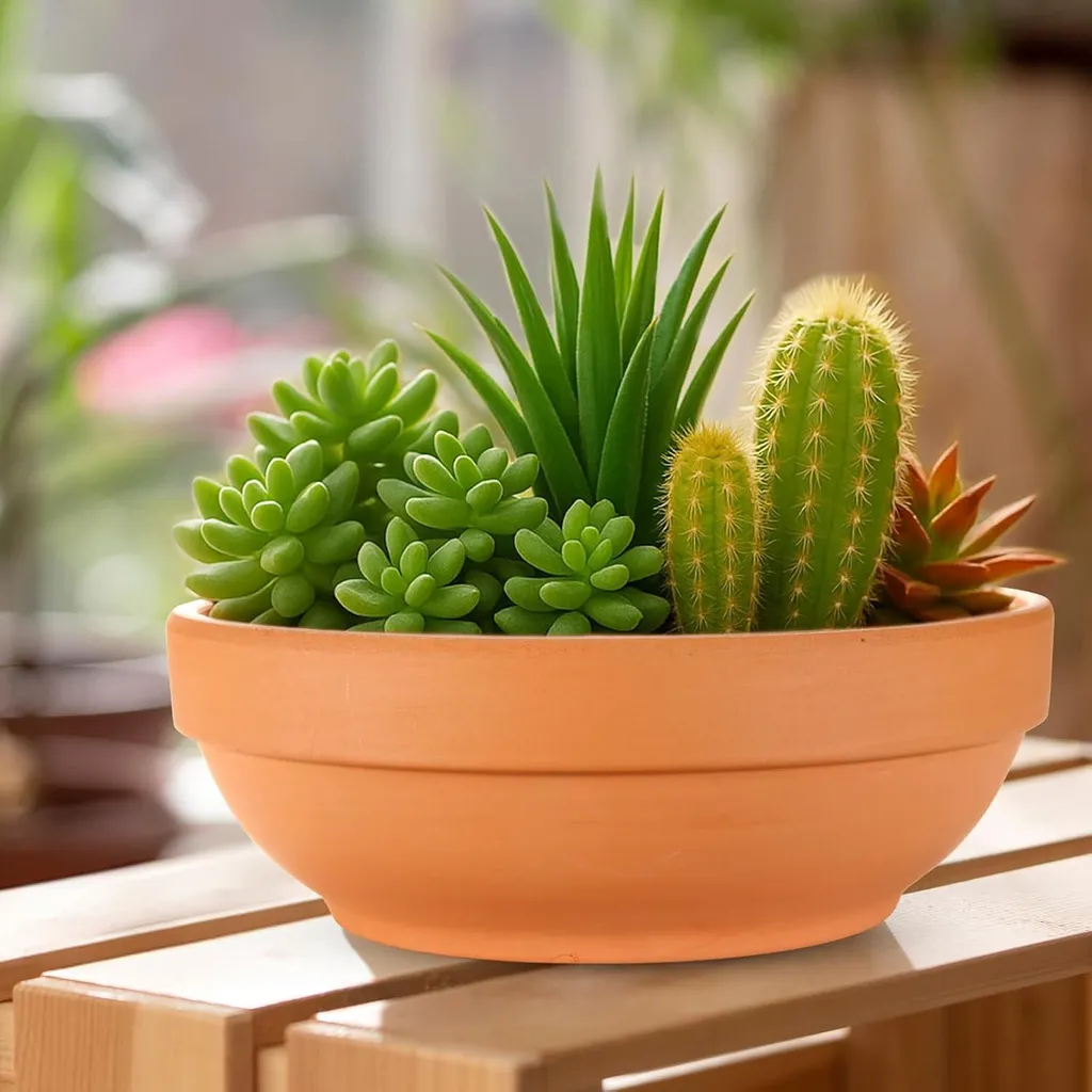Pots Plats Laergin en Argile Naturelle - Set de 6 avec Trou de Drainage