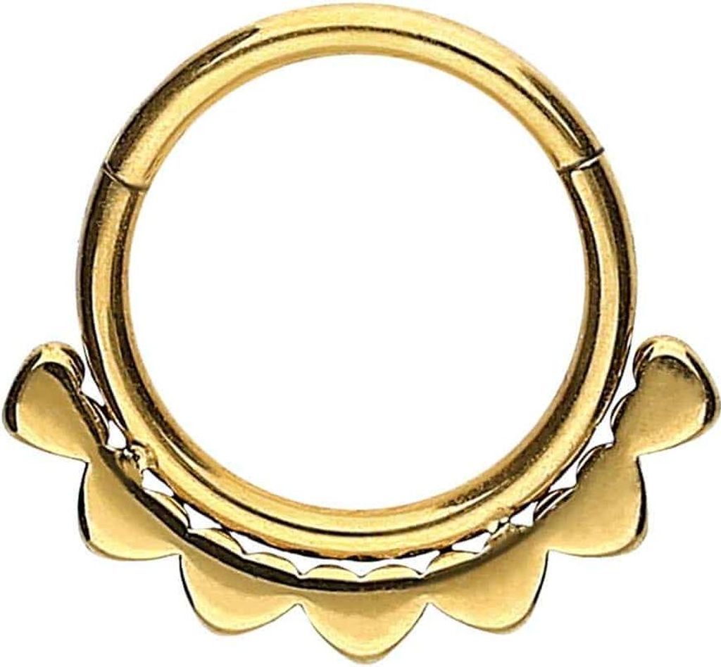 Ohrpiercing, Nasenpiercing, Septum Piercing Chirurgenstahl Segmentring Clicker HERZEN