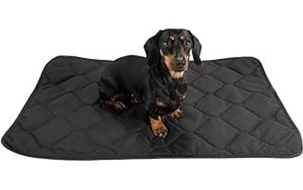 Offerta Tappetino Cane Lavabile 70x50 cm - Impermeabile e Robusto