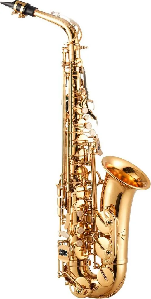 Saxophone alto facile à jouer pack complet anti-fausses notes débutant