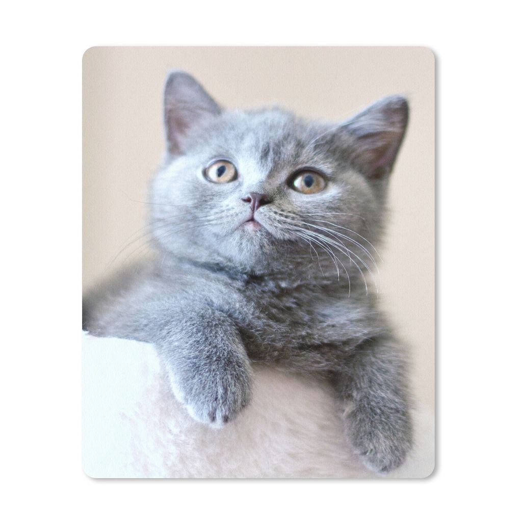 MuchoWow Mauspad Mousepad Porträt einer Kurzhaarfrisur 30x40 cm - Mousepads - Maus Mat - Pad - Mausunterlage - Mausmatten