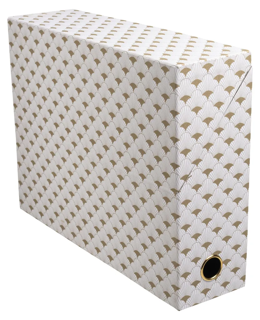 Exacompta 89450E Lot de 5 Boîtes de Transfert Néo Déco Dos 90mm Assorties
