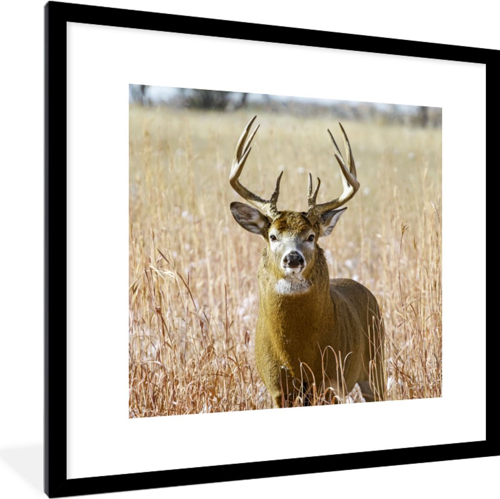 MuchoWow® Gerahmtes Poster Hirsche - Gras - Herbst - Tiere Produktbild 