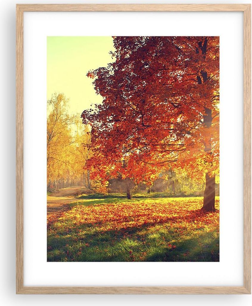 Gerahmtes Poster - Rahmen in heller Eiche - Park Herbst Baum - 40x50 cm - Wand Bild - Wanddeko - Wandbilder - Kunstposter - Wandposter - Bilderrahm...