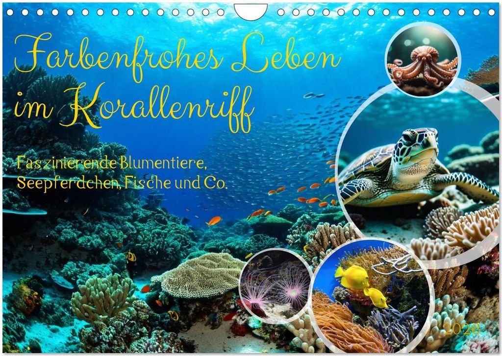 Farbenfrohes Leben im Korallenriff (Wandkalender 2026 DIN A4 quer), CALVENDO Monatskalender