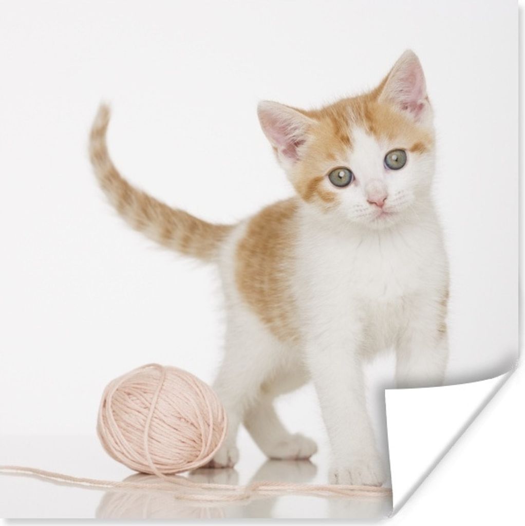 MuchoWow Poster Kätzchen mit Wolle 50x50 cm - Wohnzimmerdekoration