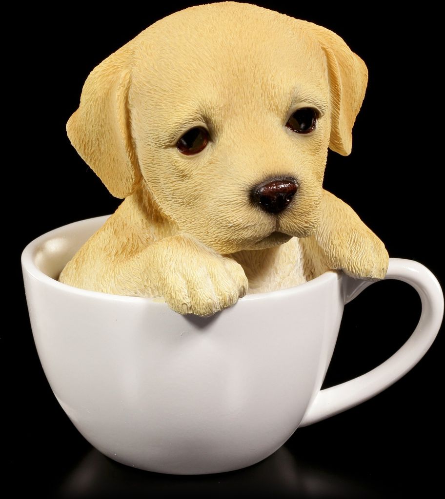 Hunde Figur - Labrador Welpe in Tasse / Süßes Geschenk