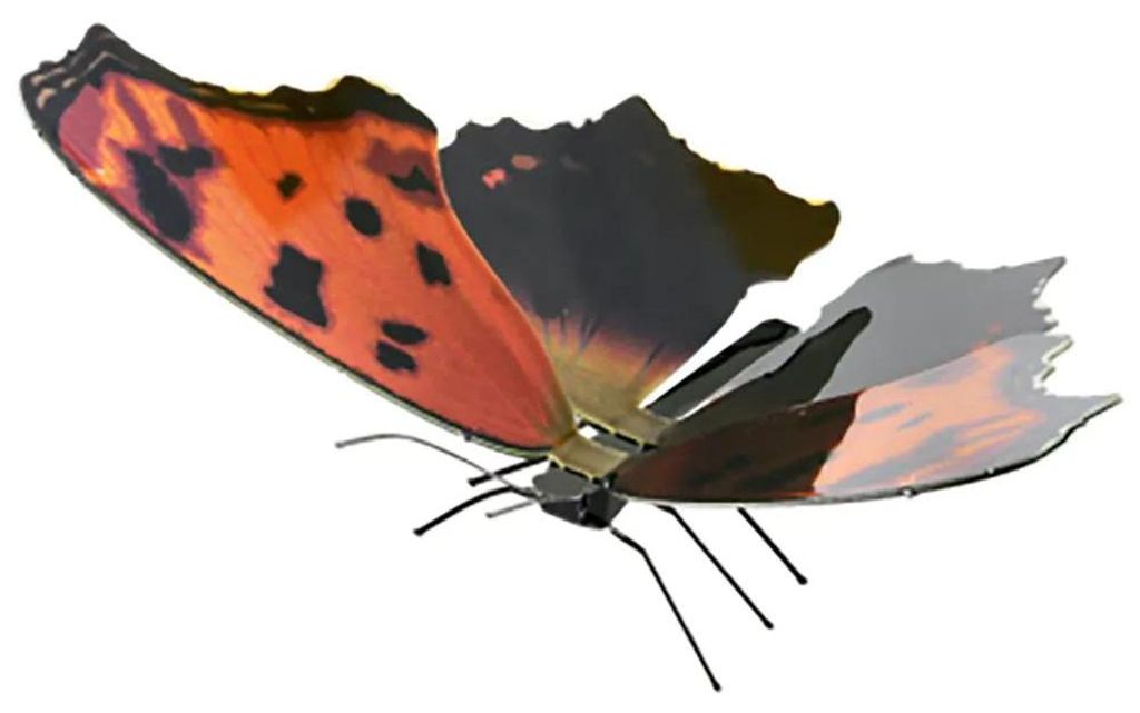 Metallo Terra Comma Orientale, Set di costruzione, Metallo Immagine del prodotto 