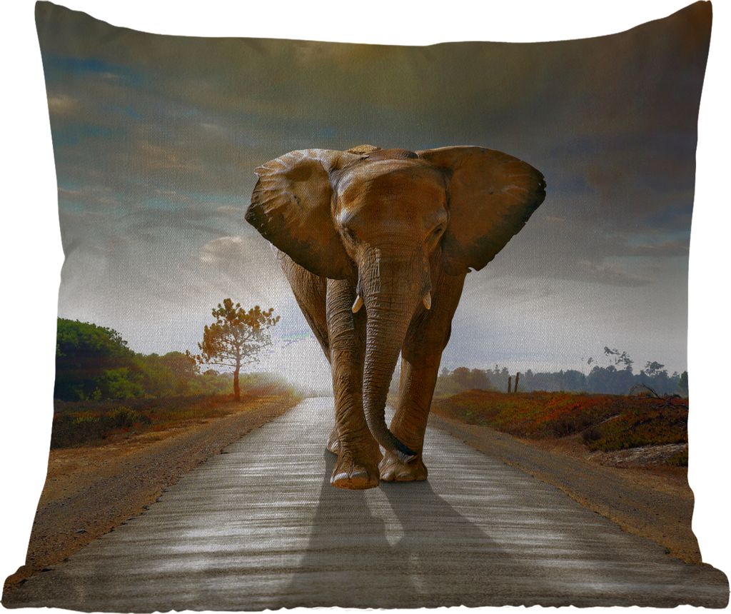MuchoWow Outdoor Kissen - Elefant - Straße - Tiere - Sonnenuntergang - Landschaft - 50x50 cm - Wetterfest - Lounge Kissen - Komfortabel - Kissen...