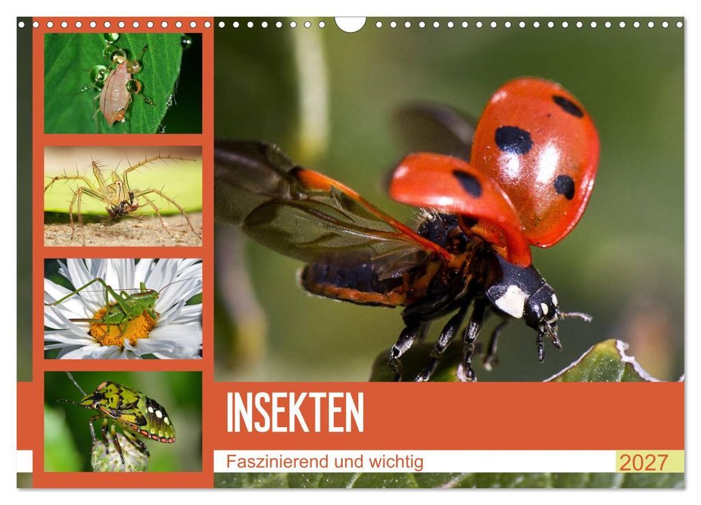 Insekten. Faszinierend und wichtig (Wandkalender 2027 DIN A3 quer), CALVENDO Monatskalender