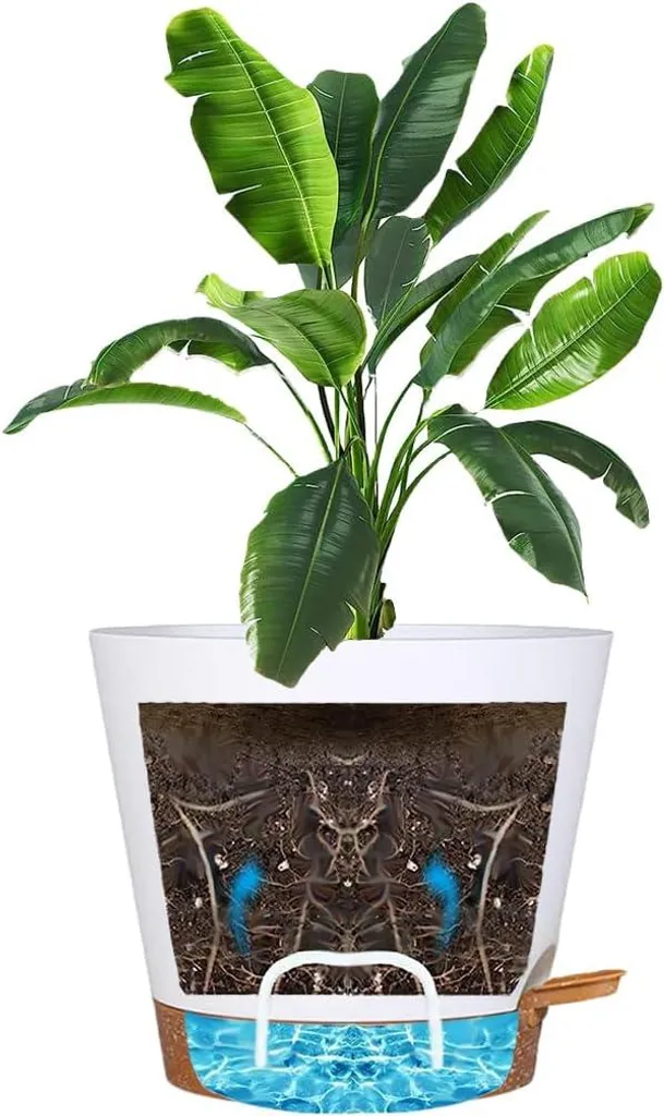 Pot à succulentes avec réservoir d'eau et trou de drainage - Blanc - 2