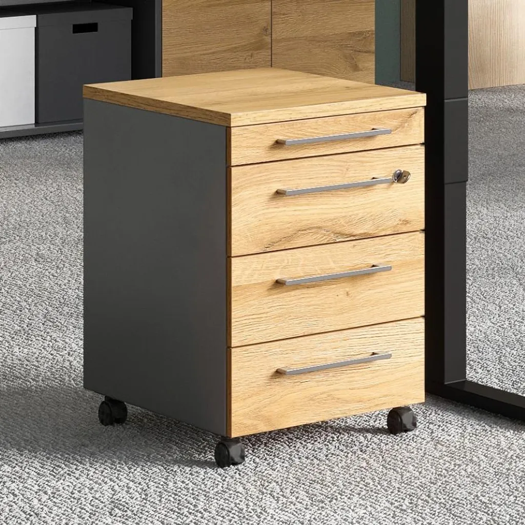 Optimisation bureau : Caisson mobile AGENDA HOME pour dossiers et tri - 2