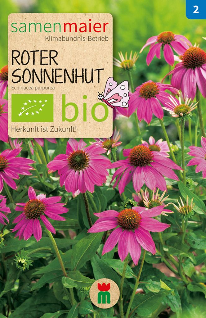 Roter Sonnenhut - Saatgut für zirka 15 Pflanzen